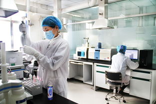 國貨記 養元飲品 創新升級只為做好 六個核桃